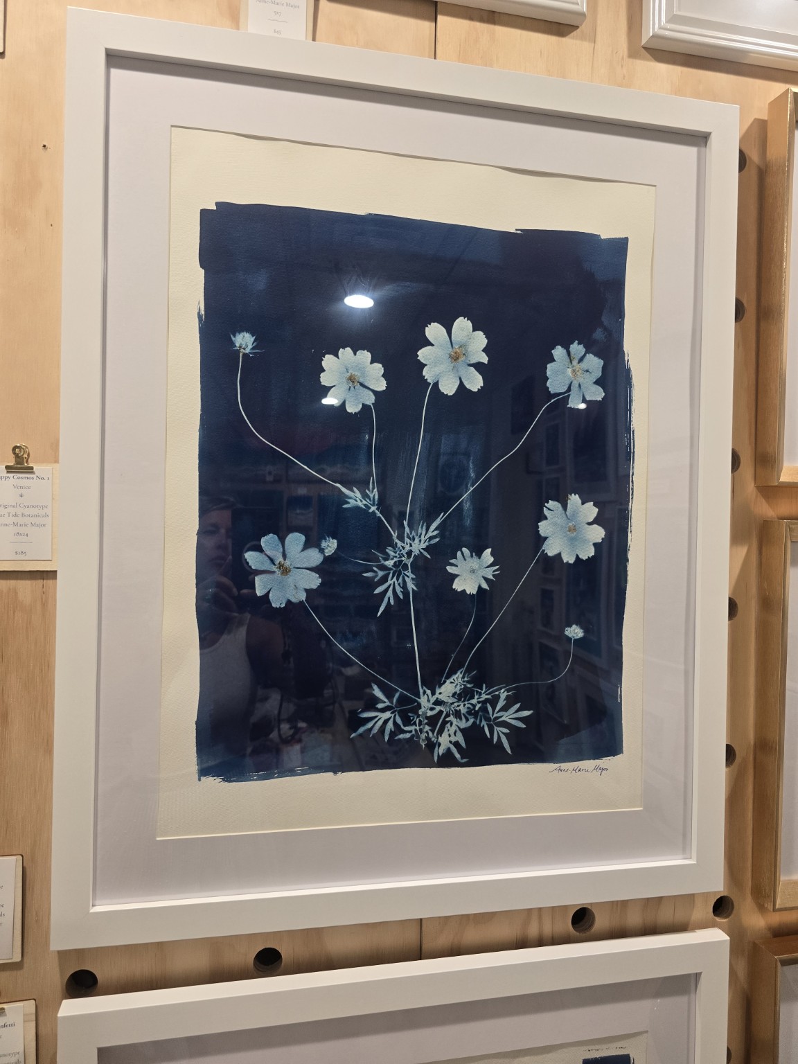 Framed botanical cyanotype artwork