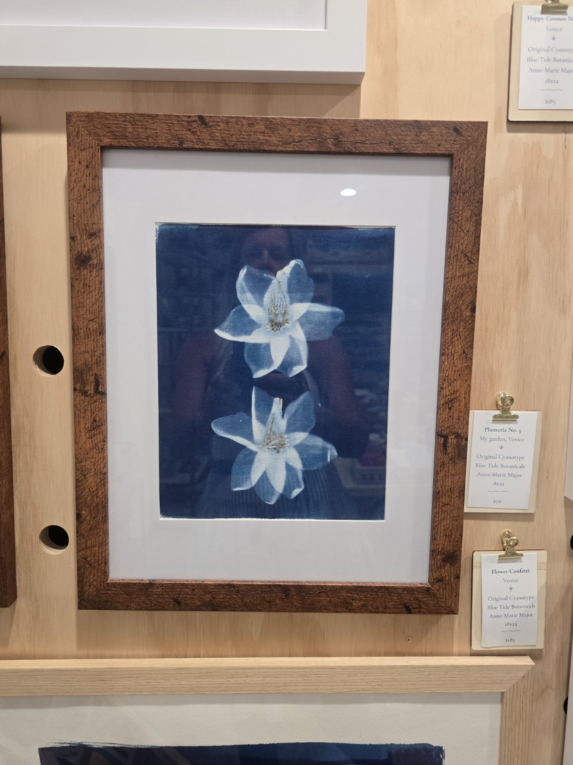 Framed plumeria cyanotype art