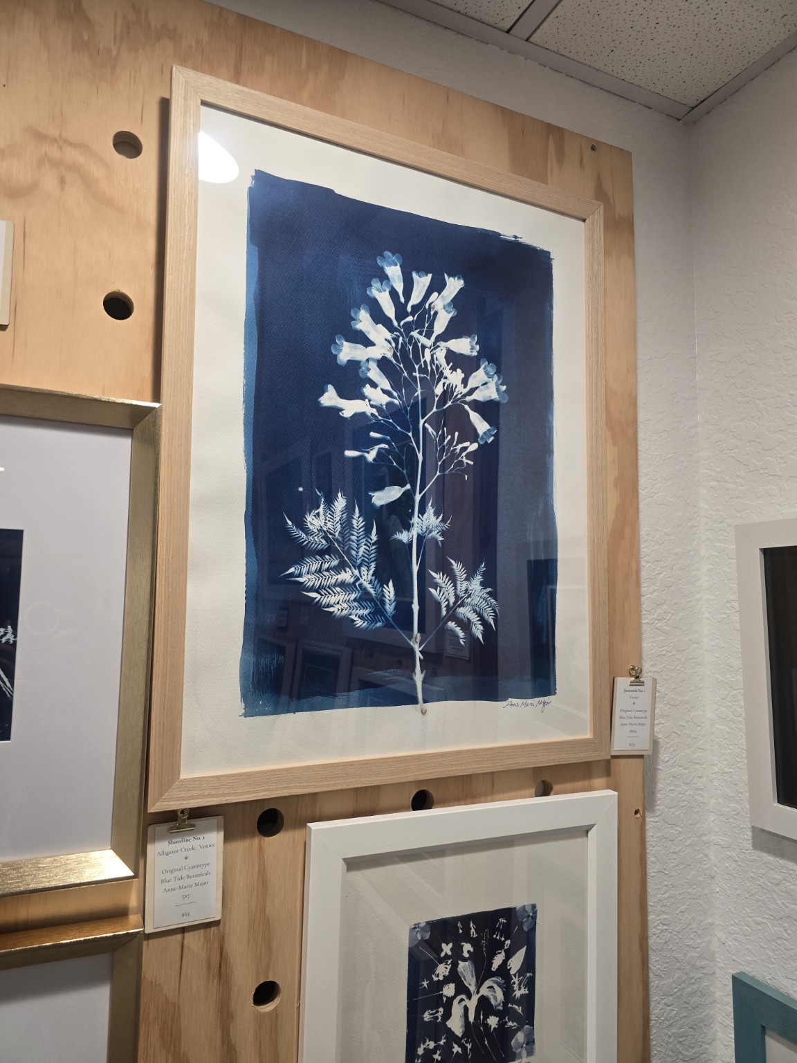 Framed botanical cyanotype art