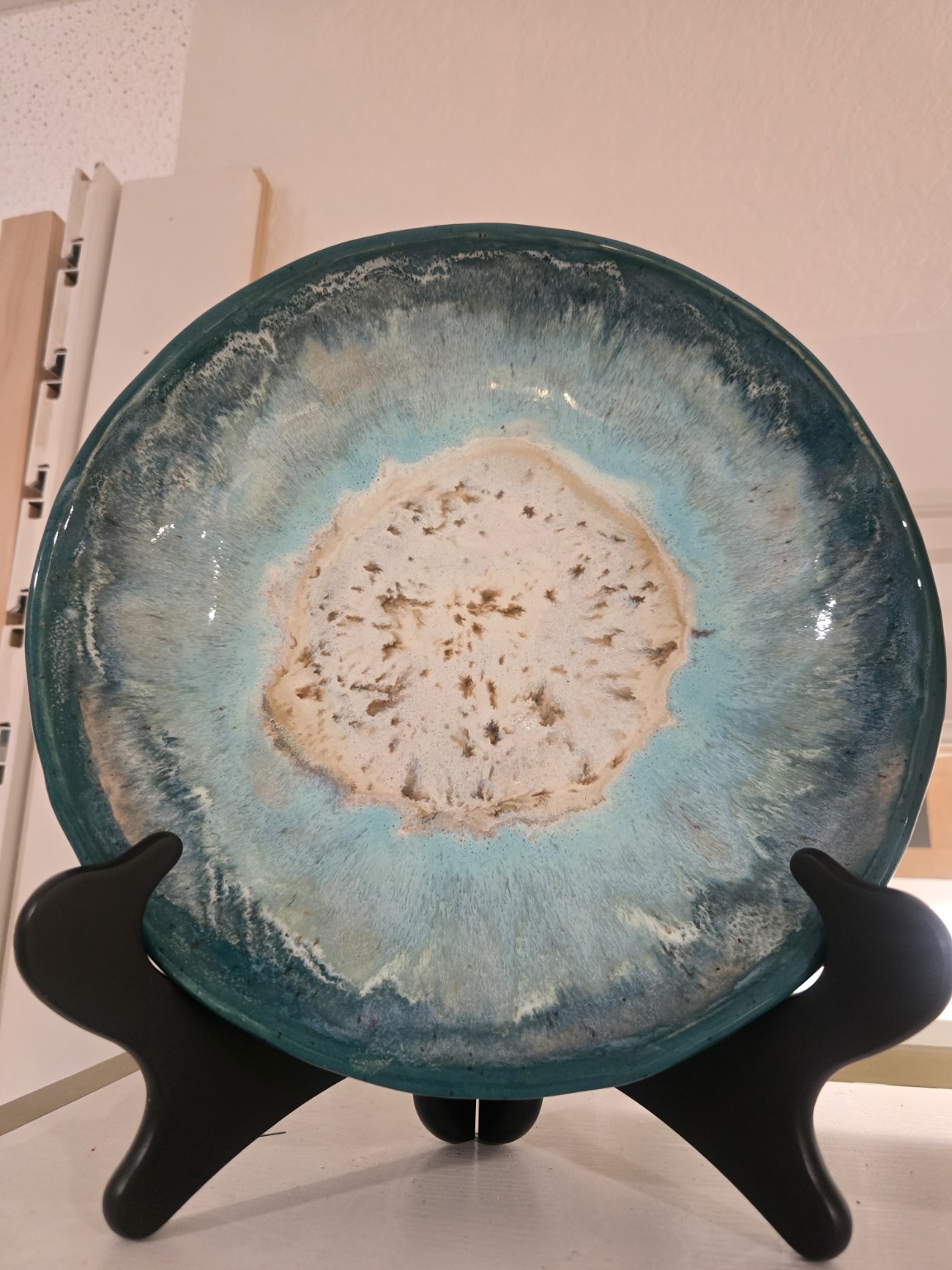 Coastal sand dollar pottery plate
